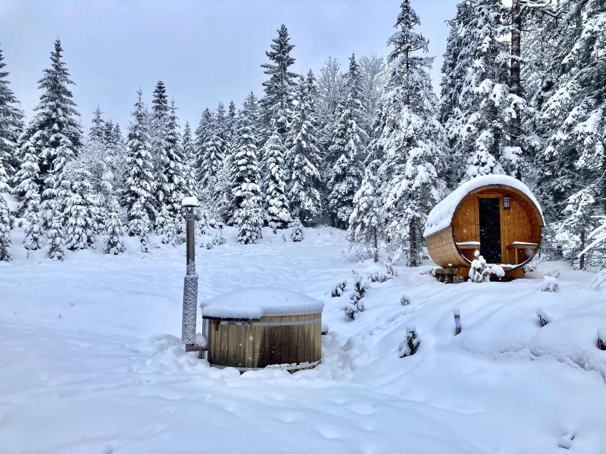 Chalet Wildalpen Exterior foto