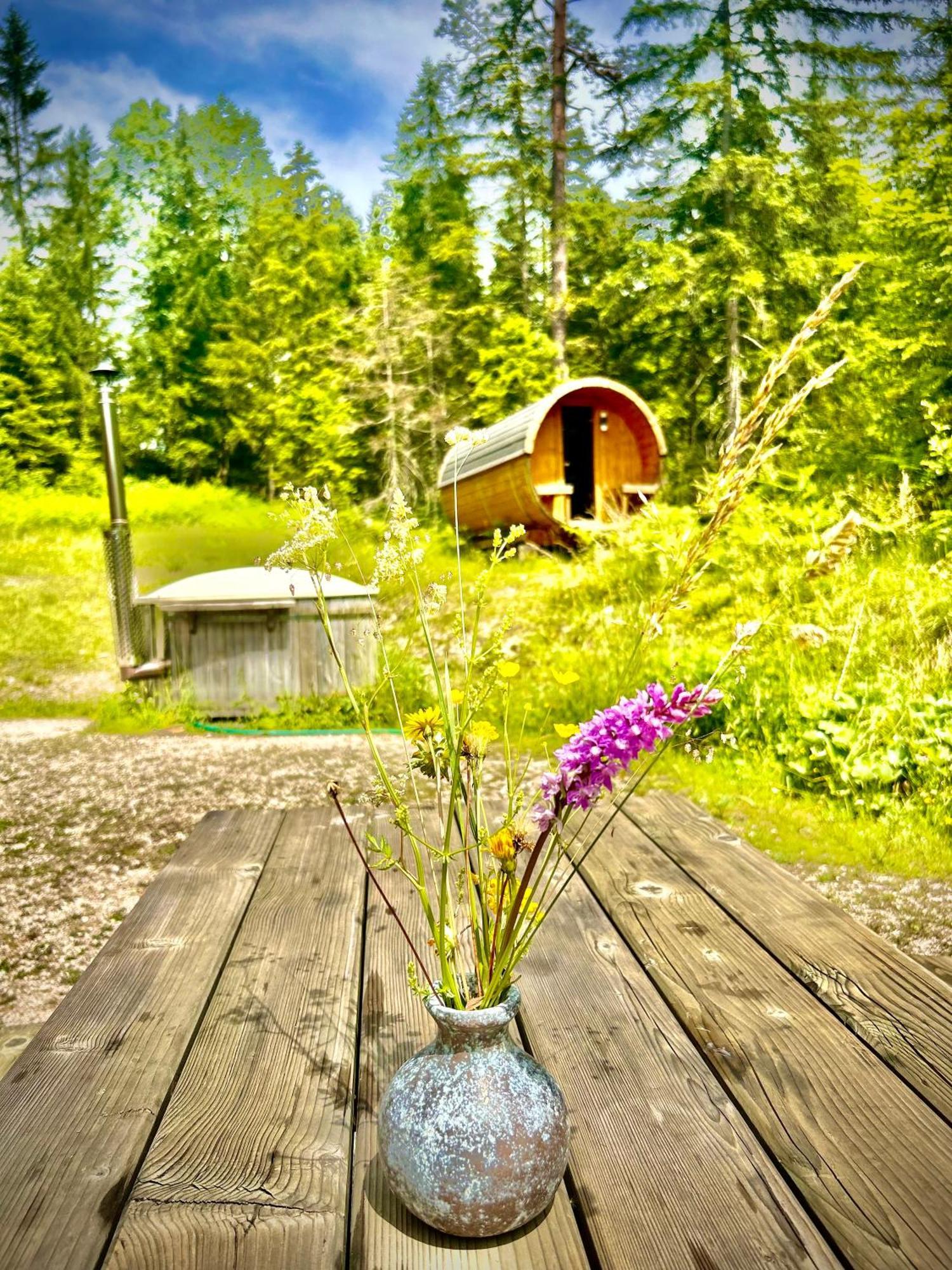 Chalet Wildalpen Exterior foto